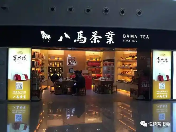 《现代都市的新风景:深圳机场的茶店茶馆》