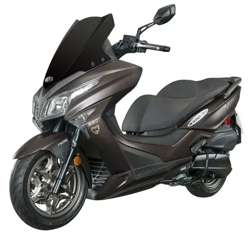 常光牌ck250t10两轮摩托车