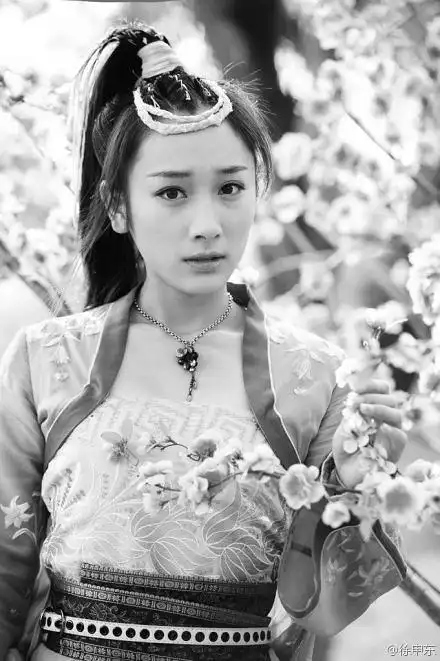 【仙侠剑】徐申东---饰---花弄影