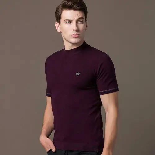 男士毛衣短袖半截羊毛衫高领秋冬季针织衫