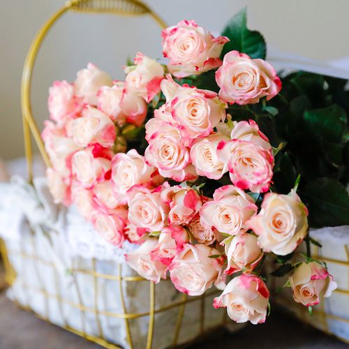 乐作flora折射多头玫瑰稀有品种可作干花10枝鲜花速递(同城)