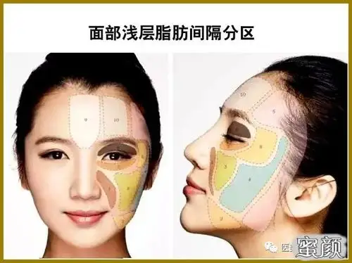 「科普」面部脂肪的分层及功能