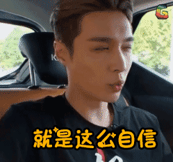 极限挑战就是这么自信soogifsoogif出品gif动图_动态图_表情包下载