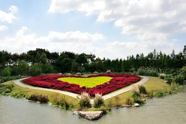 花海景色(首发)