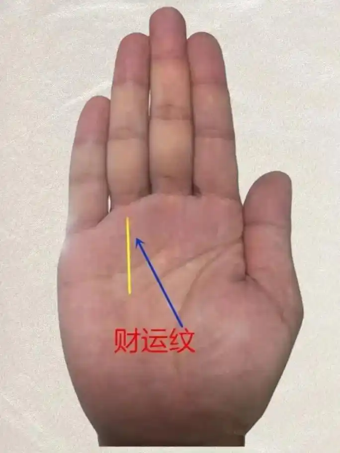 有着代表财富的纹线,可以提示容易发财的信息,手中这些先问的出 - 抖