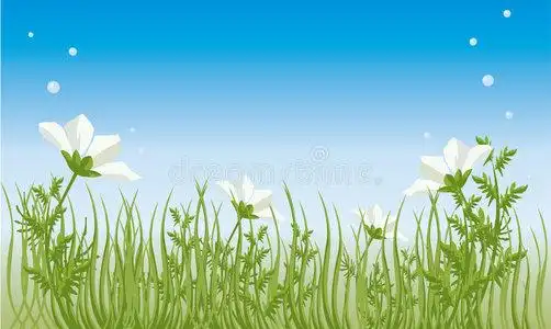 夏天风景矢量图草原