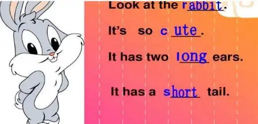 tail是什么意思英语