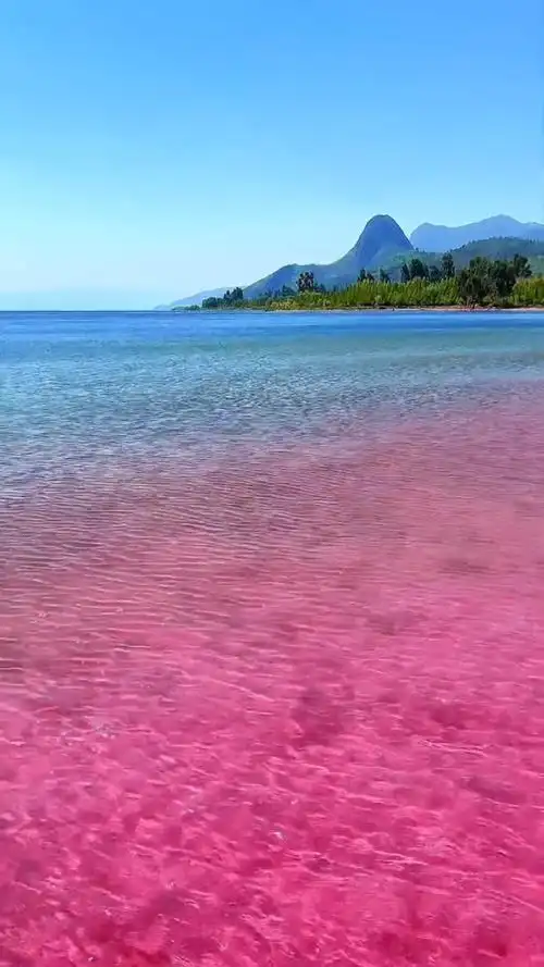 抚仙湖的粉色沙滩美爆了,水里的光影也超好看