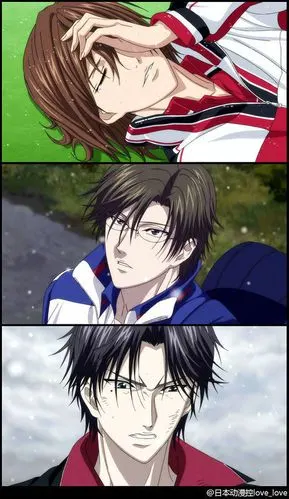 需要不二周助,手冢国光,越前龙马的图片,只要图片,切记,只要图片