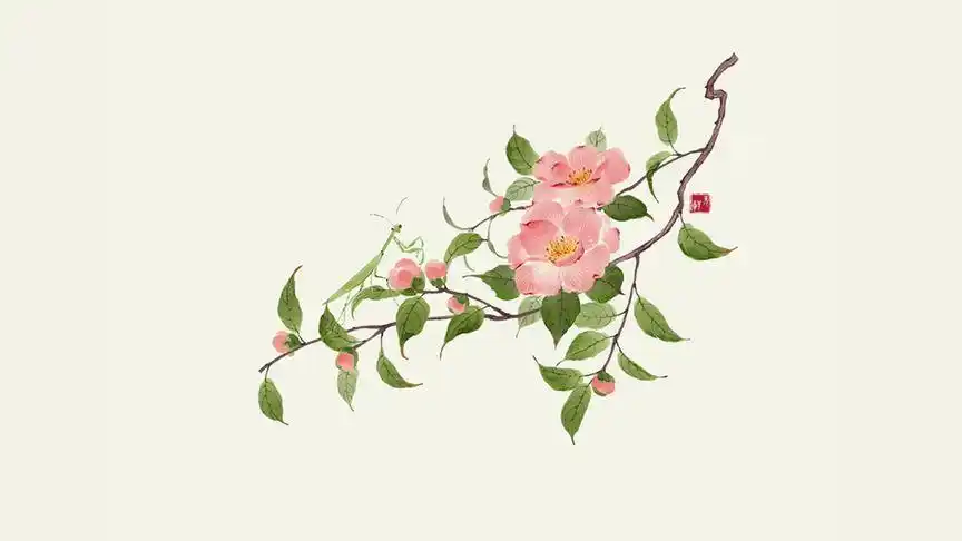 山茶花#绘画 #绘画练习 #绘画过程 #板绘