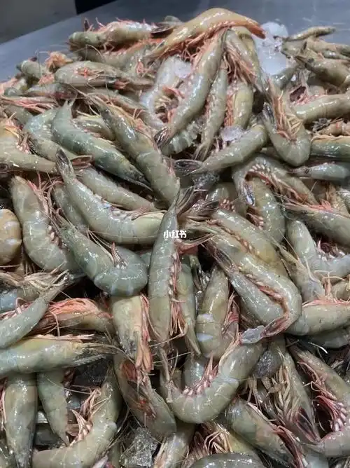 有膏钙的硬壳虾叫金钩虾