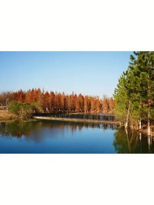 常州新北新龙生态林