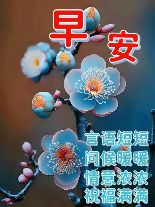 最美早上好精选问候语温馨图片|快乐|早安|清晨|甜蜜|幸福_网易订阅