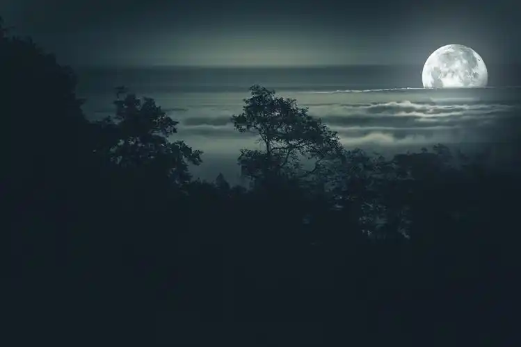 满月的夜晚背景月圆夜月光下雾山谷上空风景秀丽的夜晚时间景观满月的