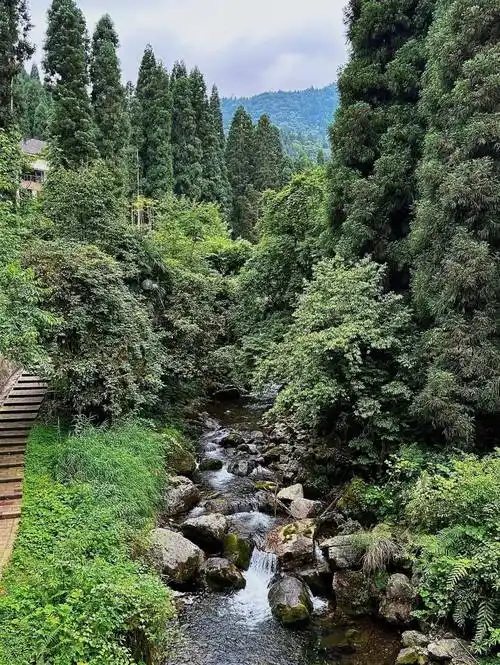 眉山之旅一定要去这些地方看看