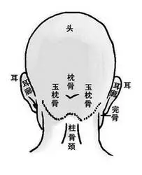 后脑勺还是比较对称的,1岁之前玉枕骨左边高些,但不是特别突出