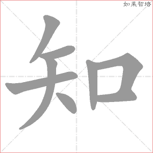 知字的笔顺动画
