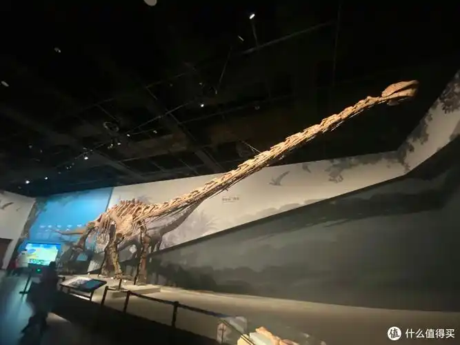 广角拍不下的马门溪龙