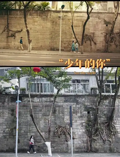 打卡"少年的你"小北保护陈念走过的路73"你往前走 我一定在你身后"