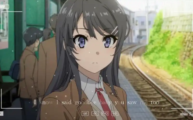 我的名字叫樱岛麻衣 你会一直记得我吗