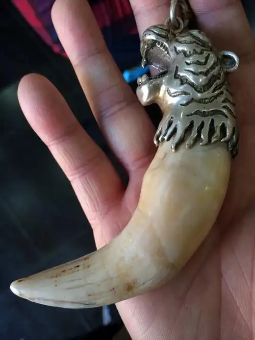 请问行家这个虎牙是什么品质真的吗?价格大概值多少?有收藏价值吗?