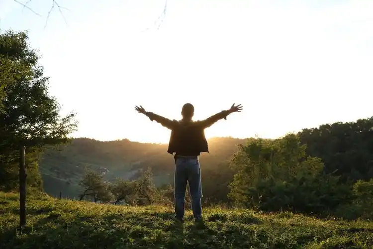 拥抱朝阳,龙龙的情怀
