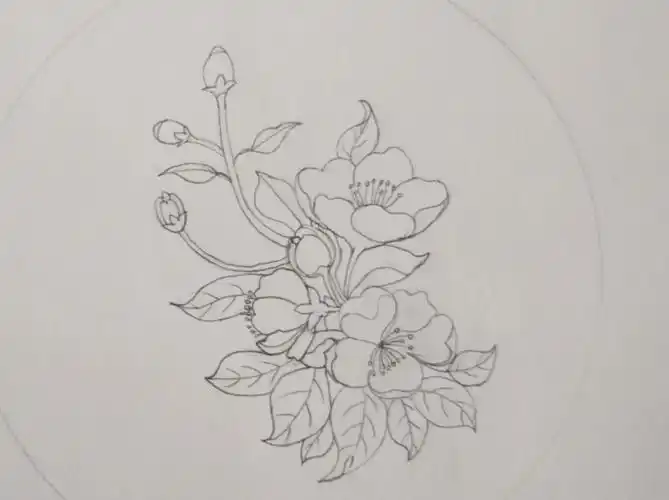 海棠花彩铅画临摹