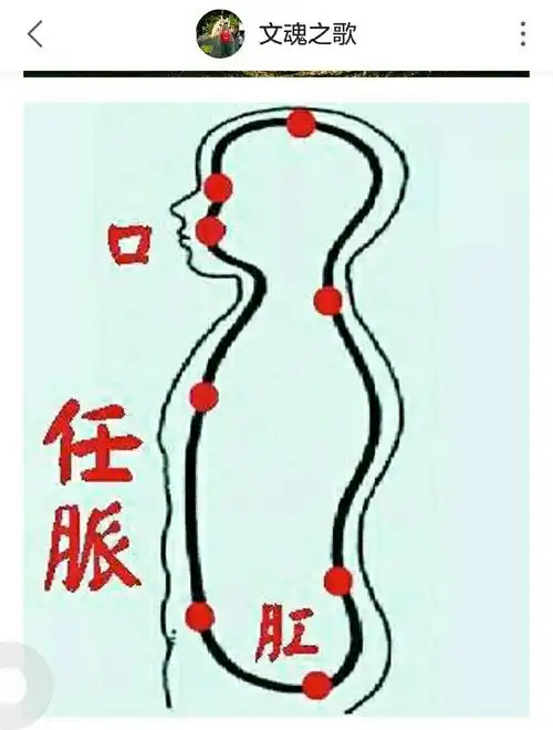 任脉,督脉,科学养生保养健康