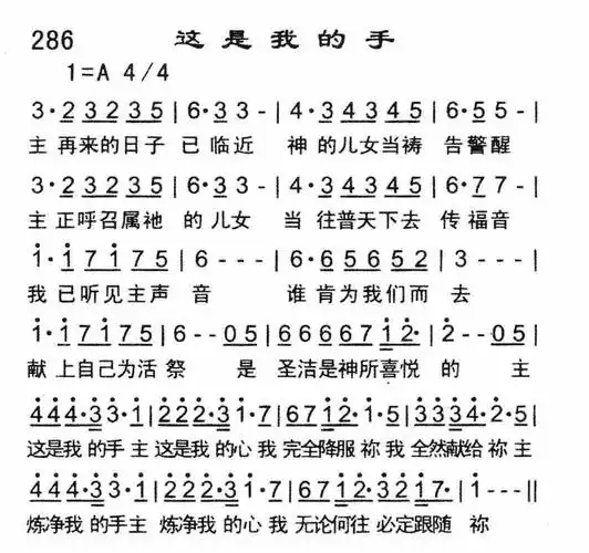 这是我的手) / 南窗听雨编辑相关歌谱:[简谱]第559首 -这是我的