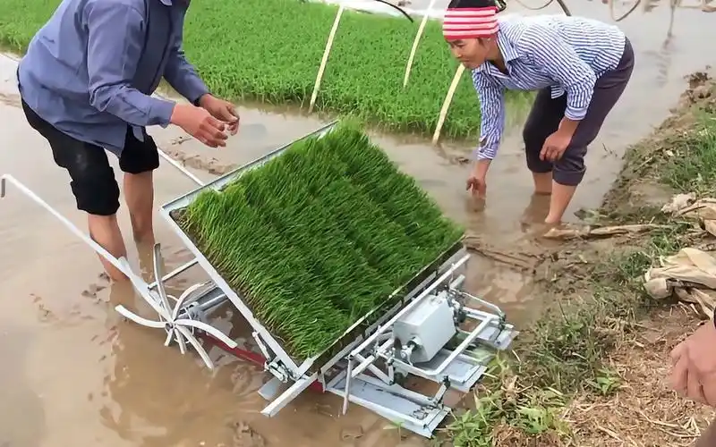 牛人发明手摇式插秧机,一天就能插6亩地,不愧是中国制造!