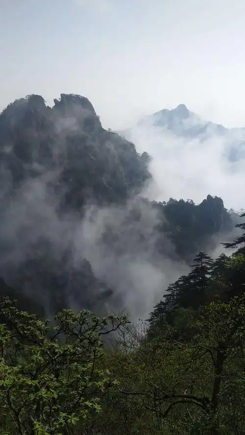 云雾缭绕满山飘.