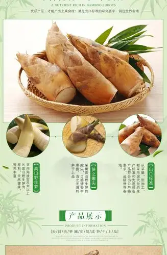 供应贡笋产地西天目山的天目贡笋 150g