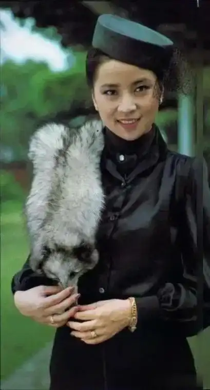 开心,他说:终于有理由和林凤娇离婚了|吴绮莉|房道龙|洪金宝_网易订阅