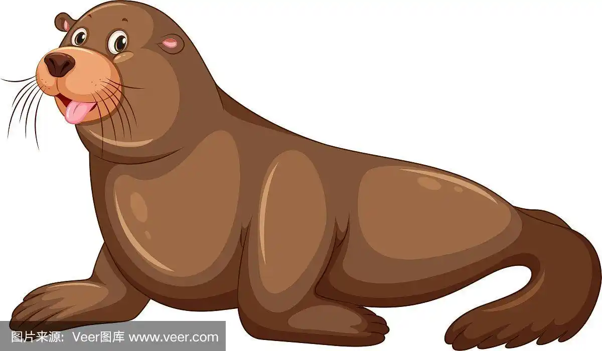 海狮脸上带着快乐的表情