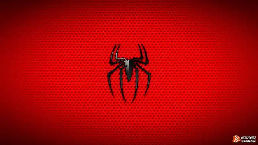 蜘蛛壁纸.jpg