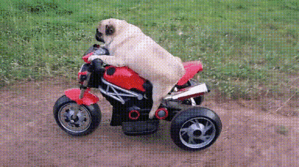 速度与激情plus2017昆明野猫山摩托车越野公开赛本周末开赛