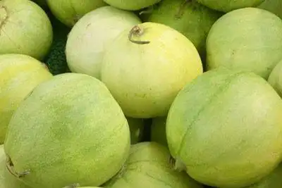 吉林省白城十大特产