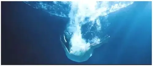 我坠入深渊,灰暗无助.