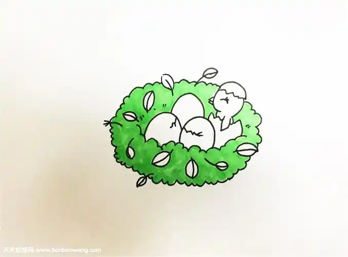 2,画出内边线条后,再将鸟窝内的鸟蛋与一只破壳而出的小鸟画出来.