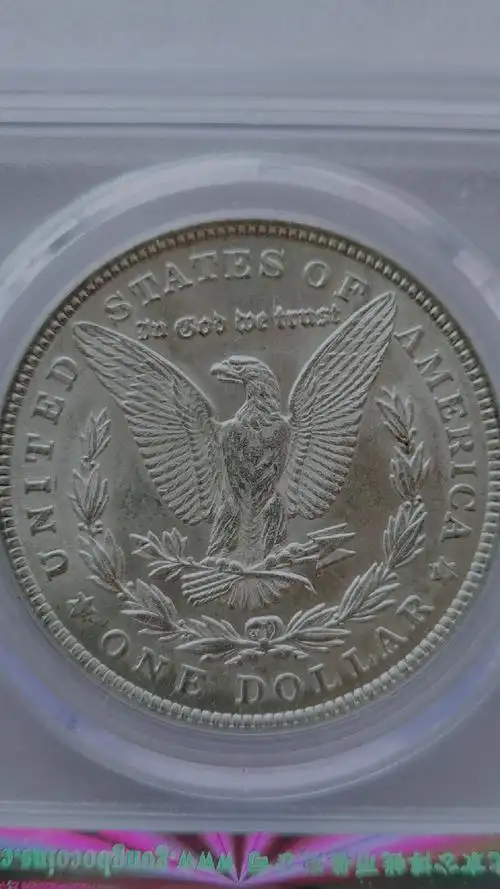 银元收藏#美国老鹰