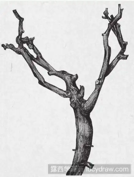 钢笔画简单的树枝步骤教程