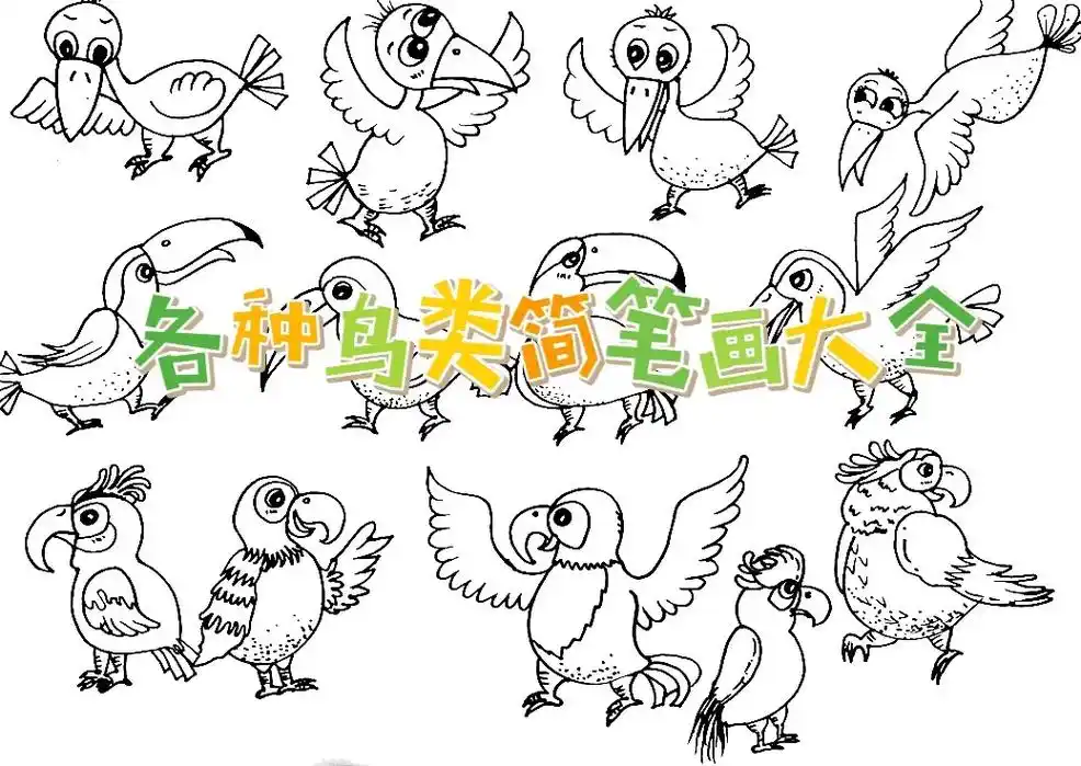 鸟类简笔画.#创作灵感 各种鸟类简笔画大全来啦#图文伙伴计划 - 抖音