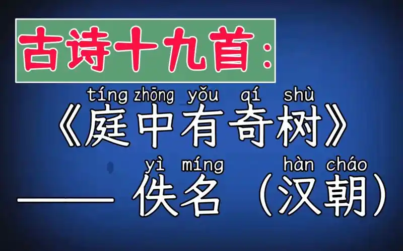虚拟人读诗:庭中有奇树 佚名(汉朝) 古诗十九首 庭中有奇树,绿叶发华