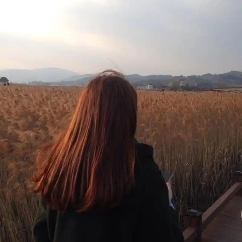 生命是一种思考,不在牵绊里徘徊(经典)