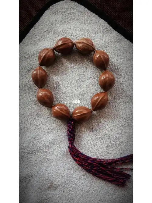 阳光下的梅林铁核格外耀眼