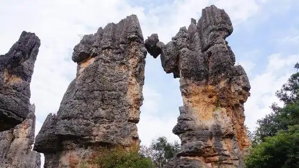 澄江帽天山古生物化石群