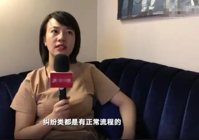 奔驰女车主所涉公司确认债权450多万不欠钱是大谎言