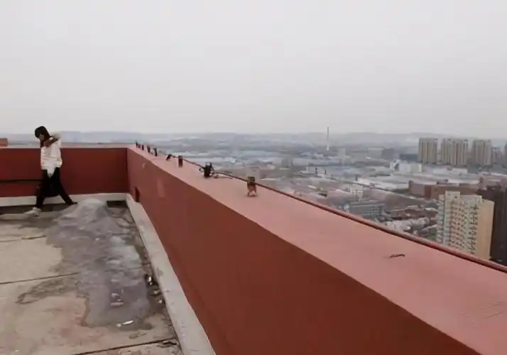 为什么叫女儿墙 女儿墙图片效果图-小蚊子百科网