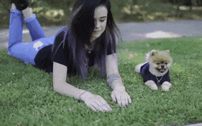 爆笑gif动图老司机你这技术太厉害了