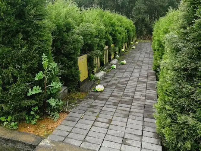 2019-03-30 照片【宅口村桃园生态公墓,扫墓】 (6).jpg